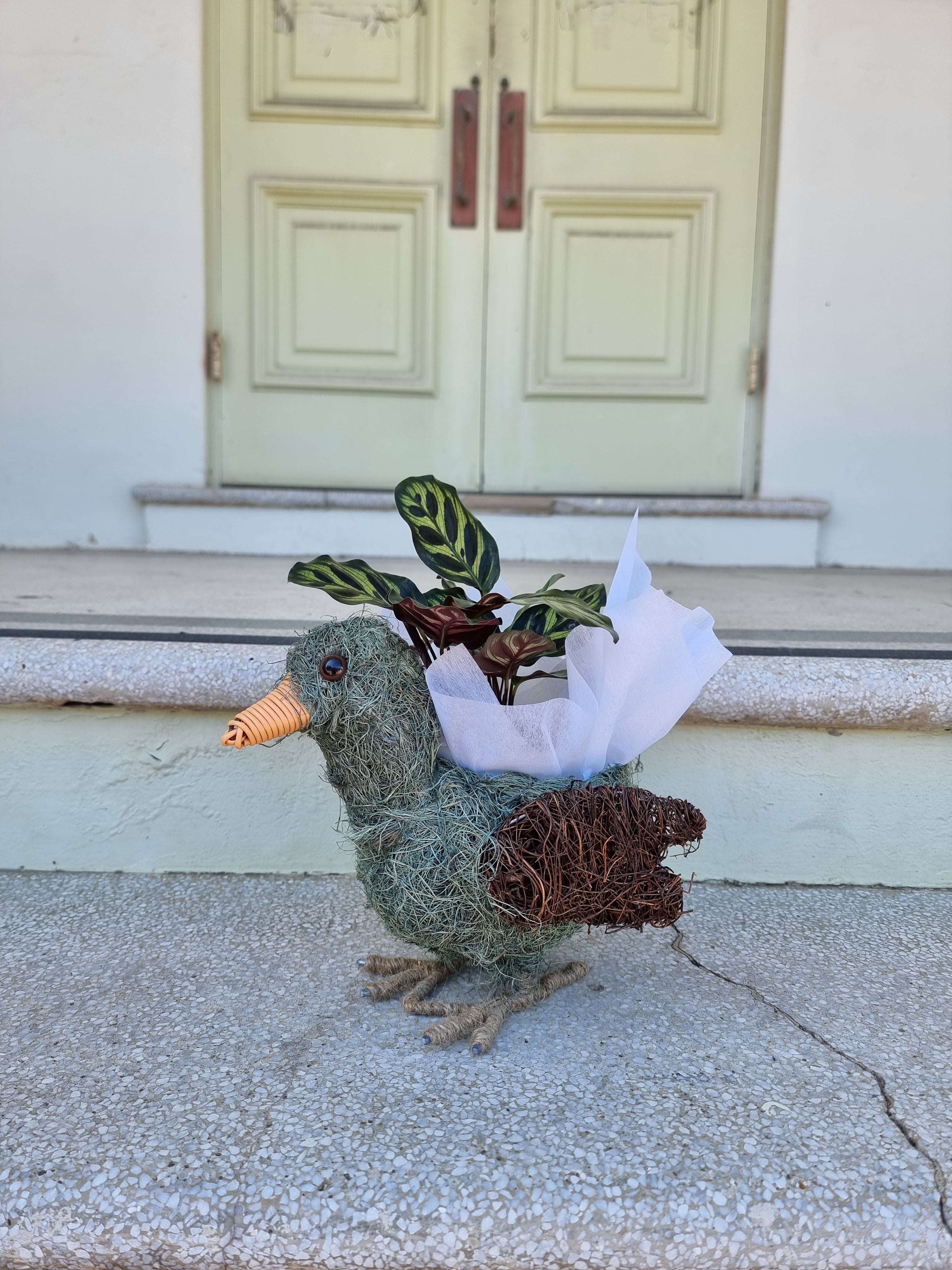 Bird Husk Planter