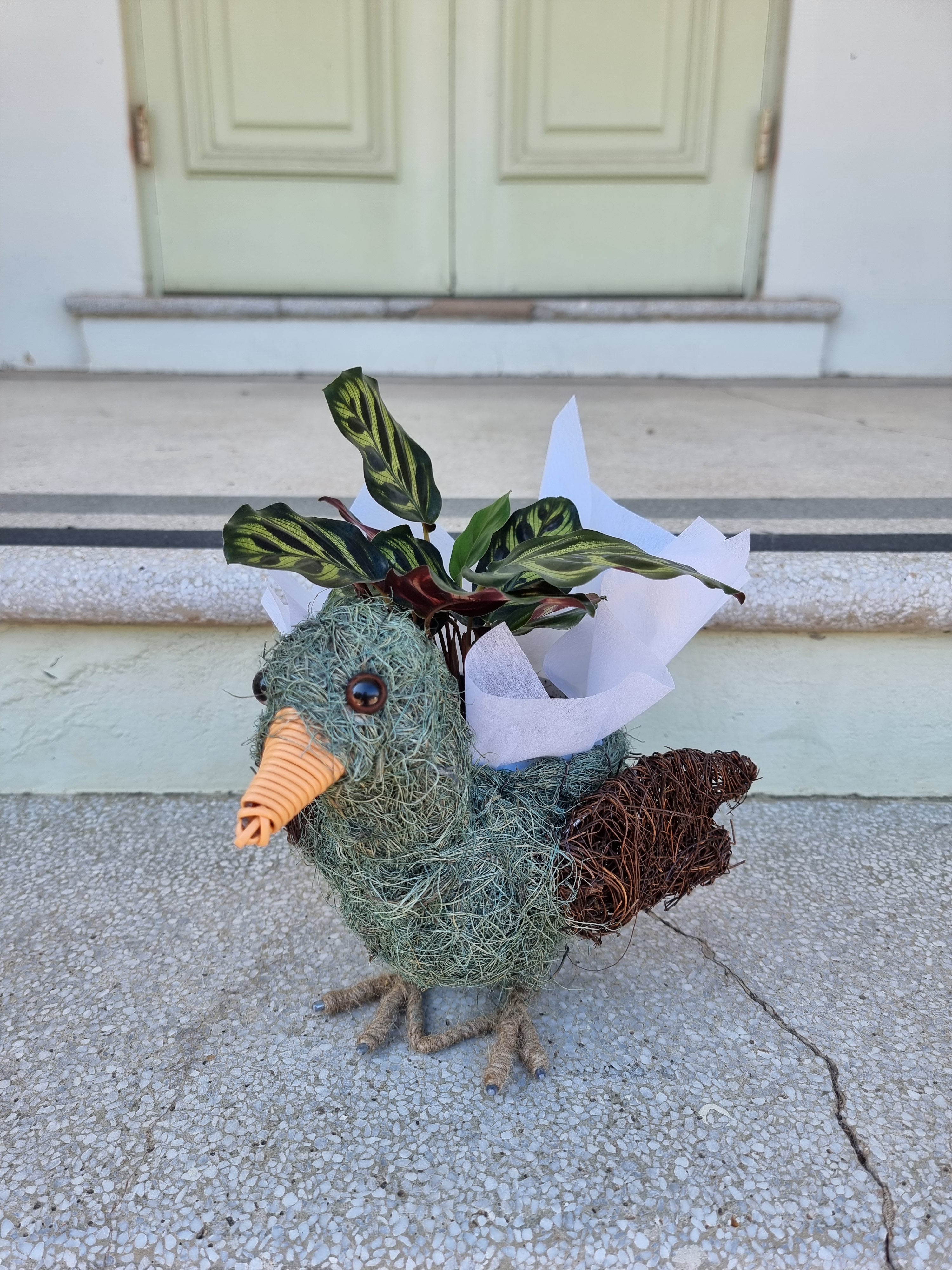 Bird Husk Planter