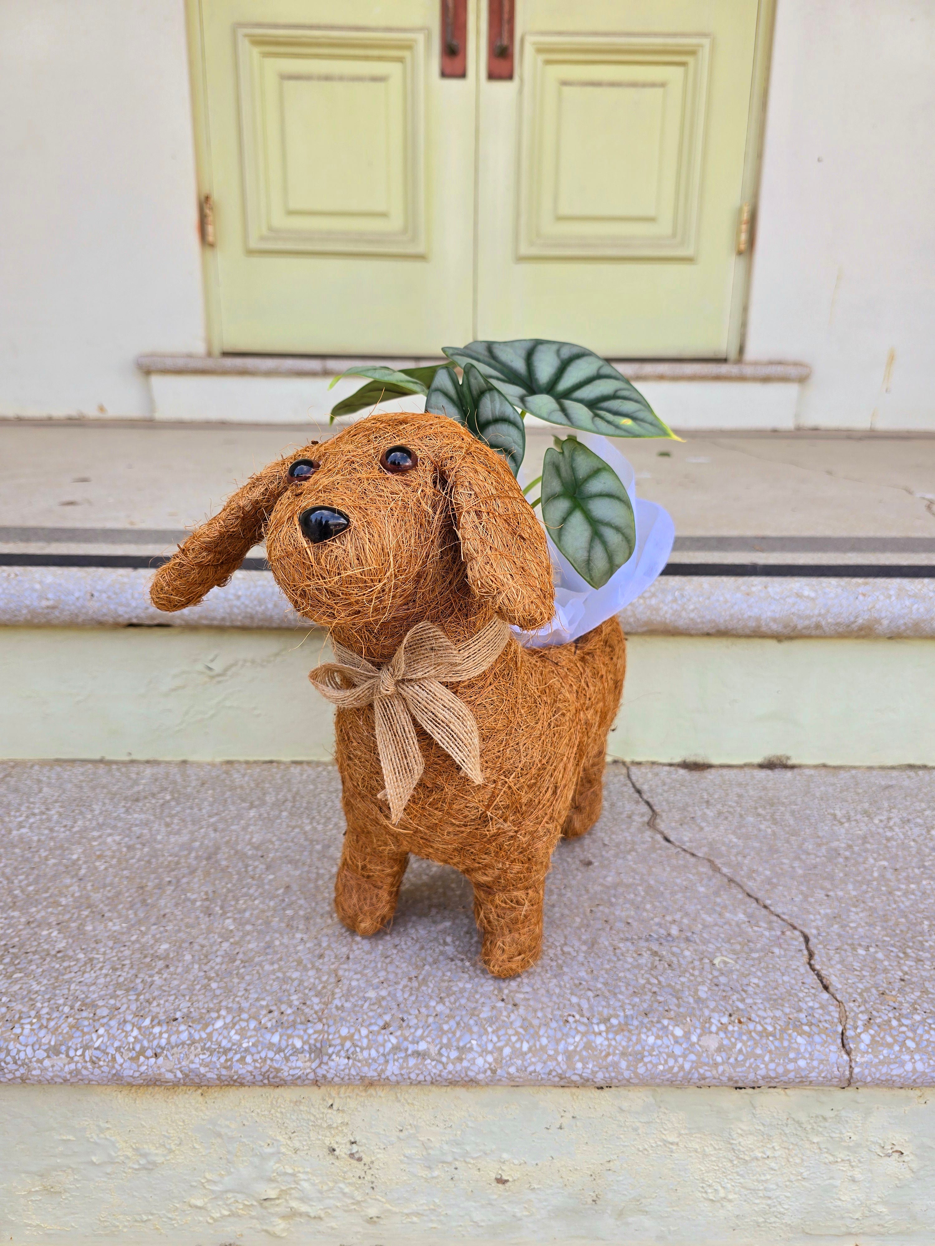 Happy Dog Husk Planter