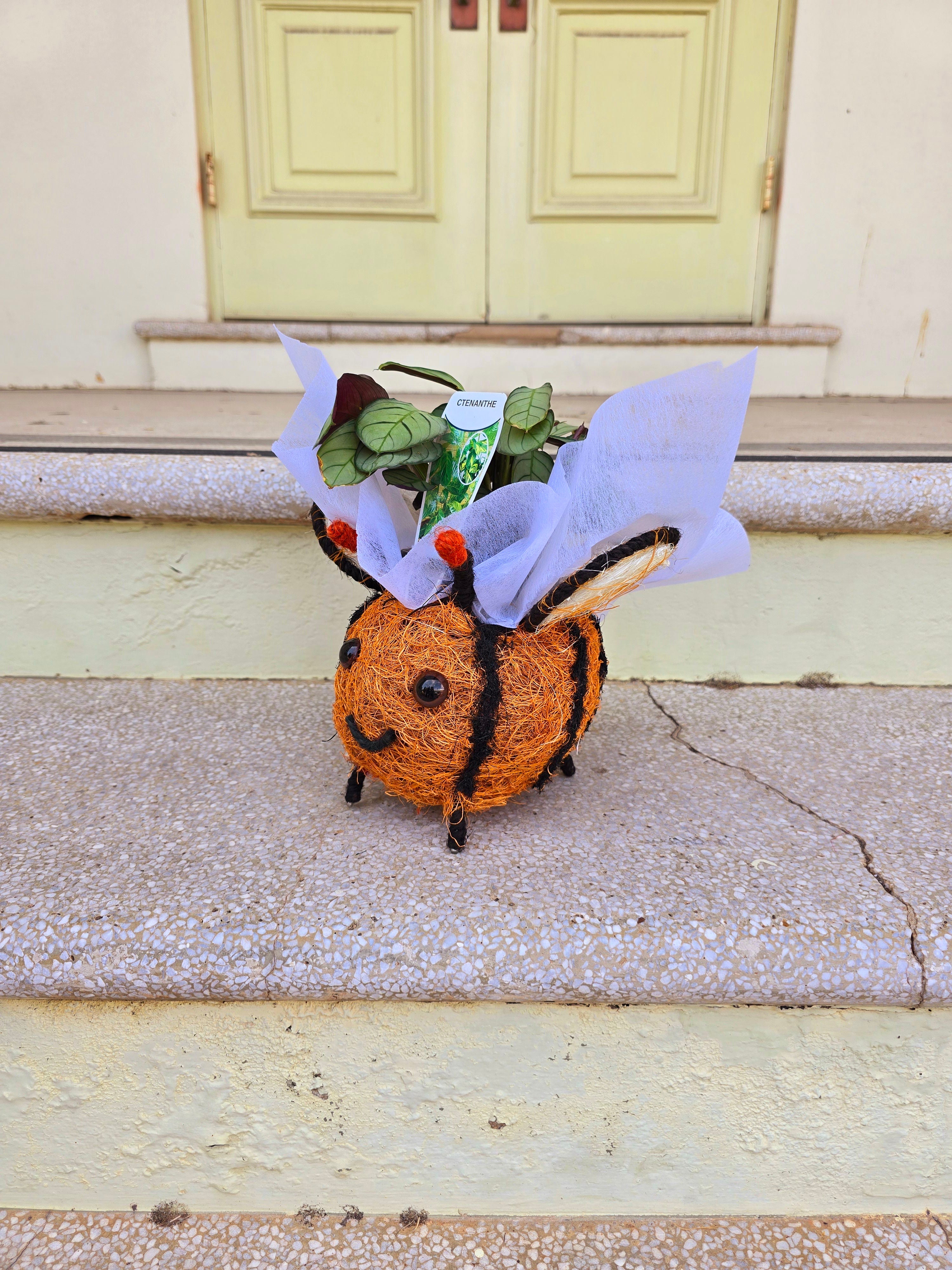 Bee Husk Planter