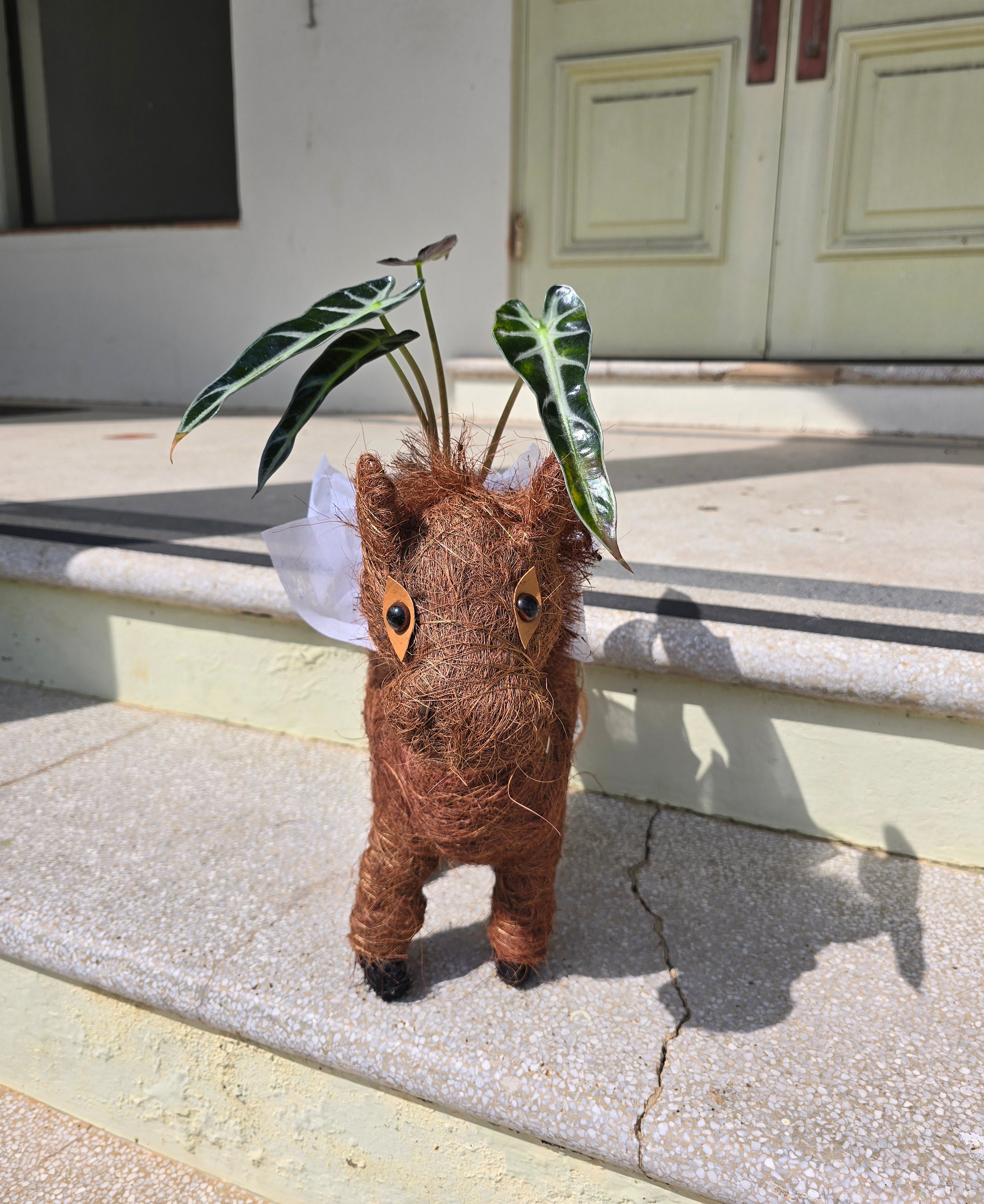 Horse Husk Planter
