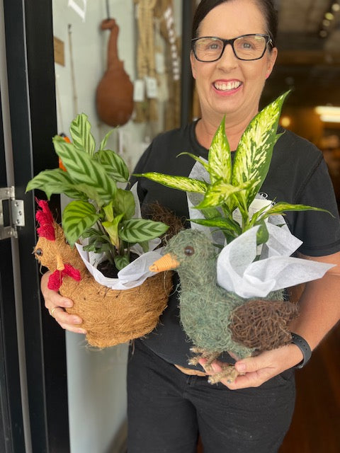 Rooster Husk Planter