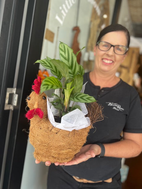 Rooster Husk Planter