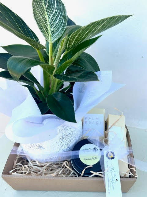 Welcome Home Mini Hamper