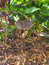 Cast Iron Poppy Bird Feeder Stake