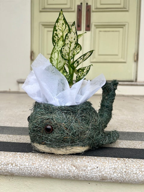 Whale Husk Planter