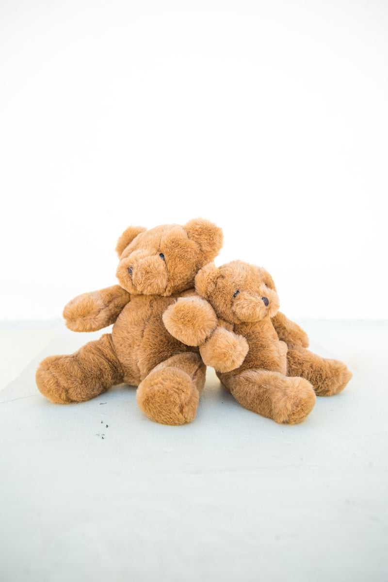 Teddy (Small or Medium)